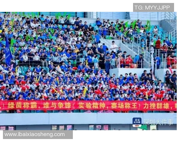 深圳足球队的崛起与荣耀揭秘让我们一起探索这支球队的力量与激情 深圳足球队的崛起与荣耀揭秘让我们一起探索这支球队的力量与激情