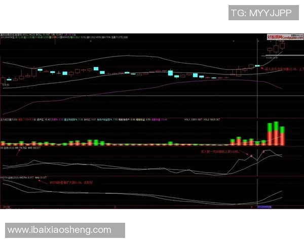 重庆篮球队在钻石联赛中的强势表现与未来发展潜力分析