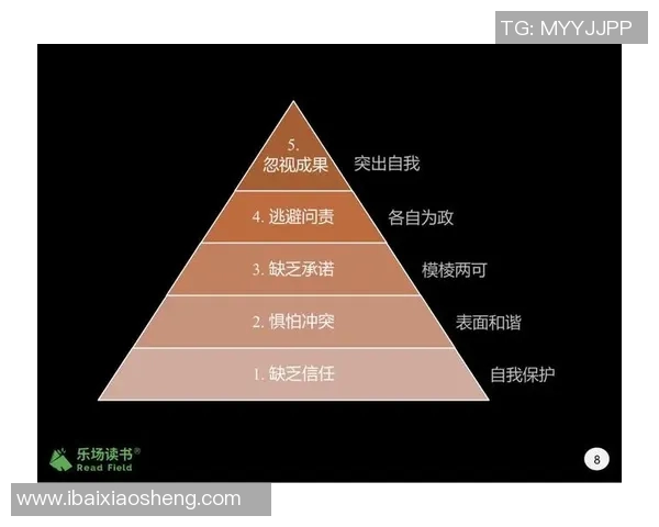 上海排球队团队协作表现的数据分析与提升策略探讨